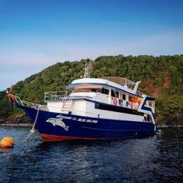 Blue Dolphin - Iles Similan - 4 nuits