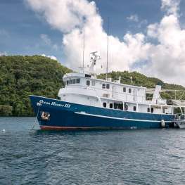 Ocean Hunter 3 - Palau - 10 nuits