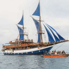 Sea Safari 8 - Raja Ampat - 7 nuits