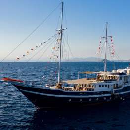 Seahorse - Komodo - 11 nuits