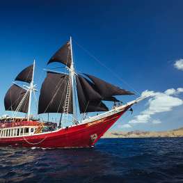 Seven Seas - Alor - 11 nuits