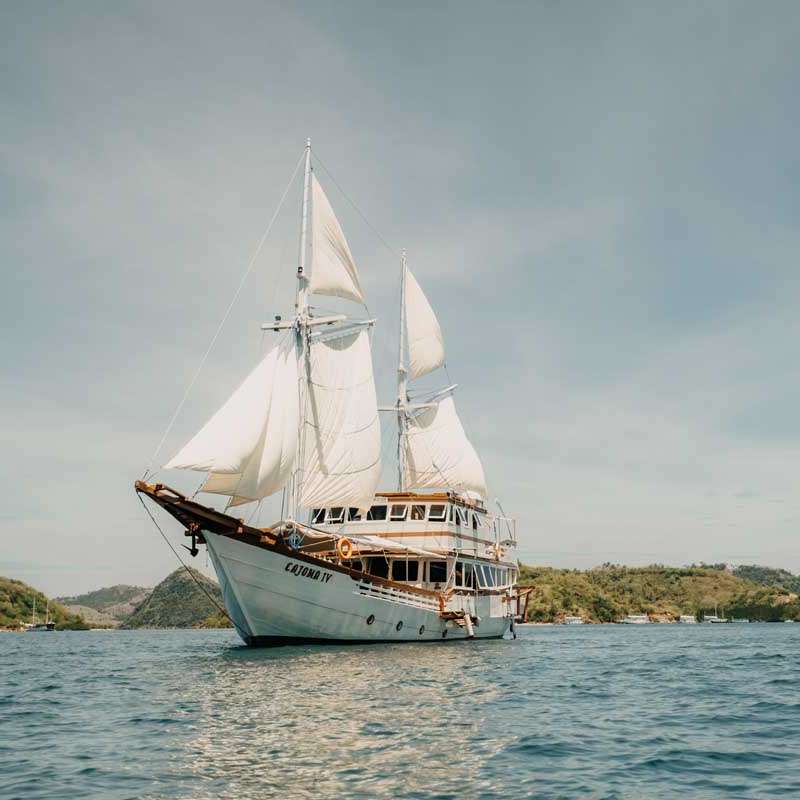 Cajoma 4