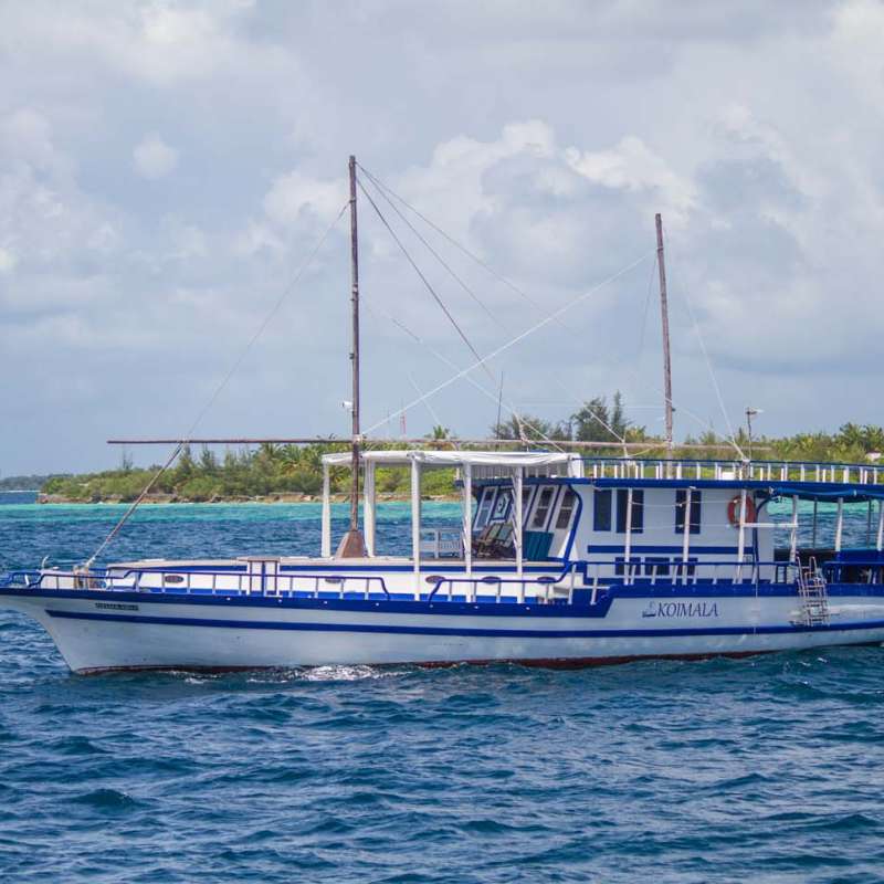 Koimala
