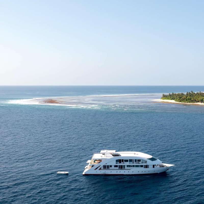 Maldives Mosaique