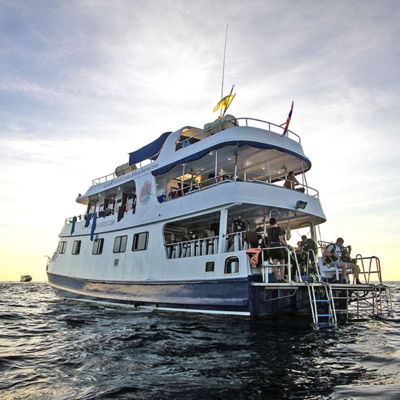 Manta Queen 2