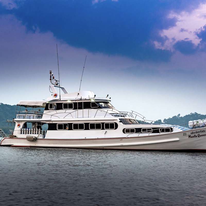 Manta Queen 6