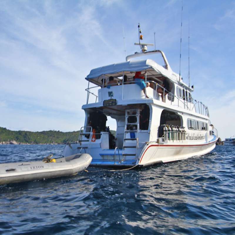 Manta Queen 6