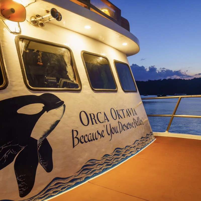 Orca Oktavia