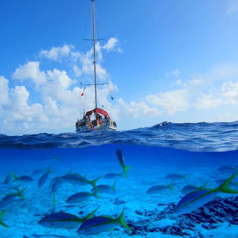 Sea Explorer