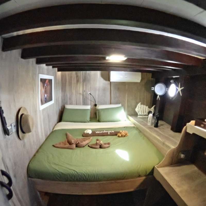 Wunderpus Wunderpus